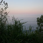 The Danger is in Here